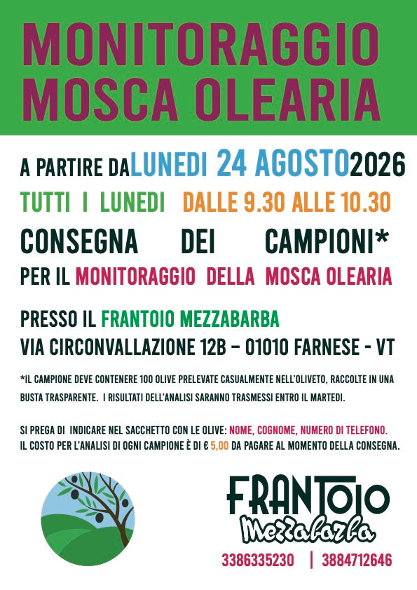 Iniziamo con il monitoraggio per la mosca olearia!