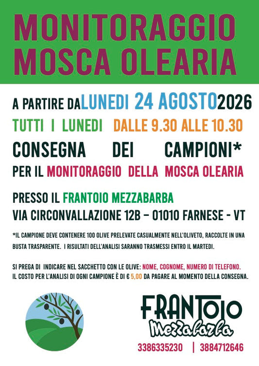 Iniziamo con il monitoraggio per la mosca olearia!